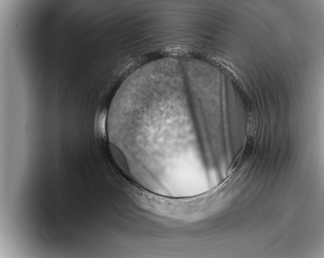 X0000096190047200802081529