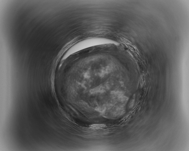 X0000096190051200802081528