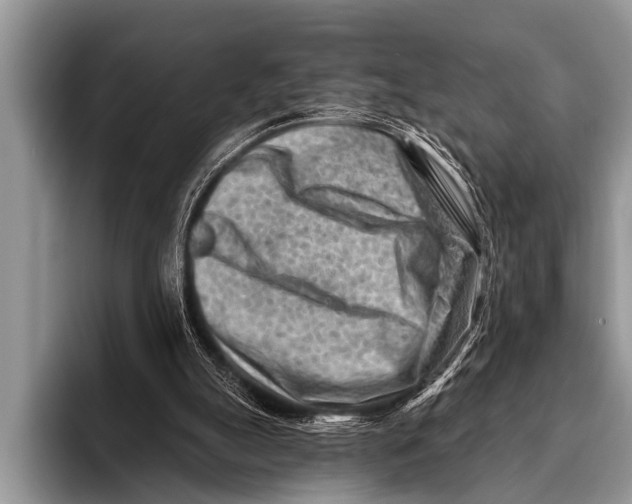 X0000096190055200802081528