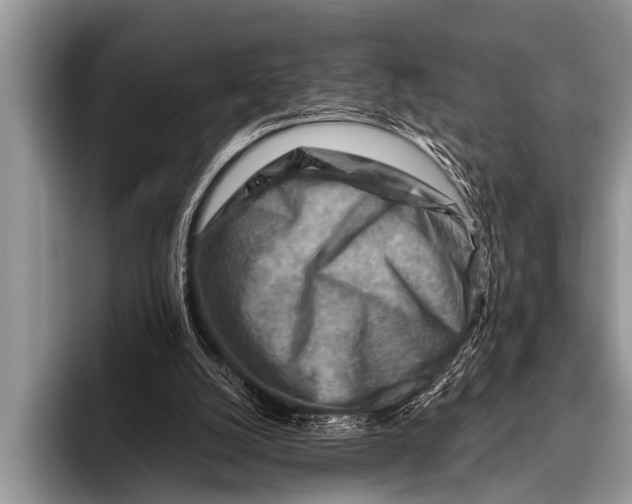 X0000096190056200802081528