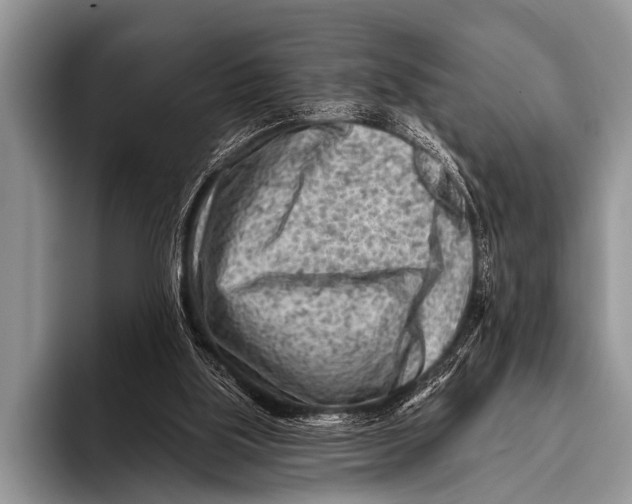 X0000096190059200802081528