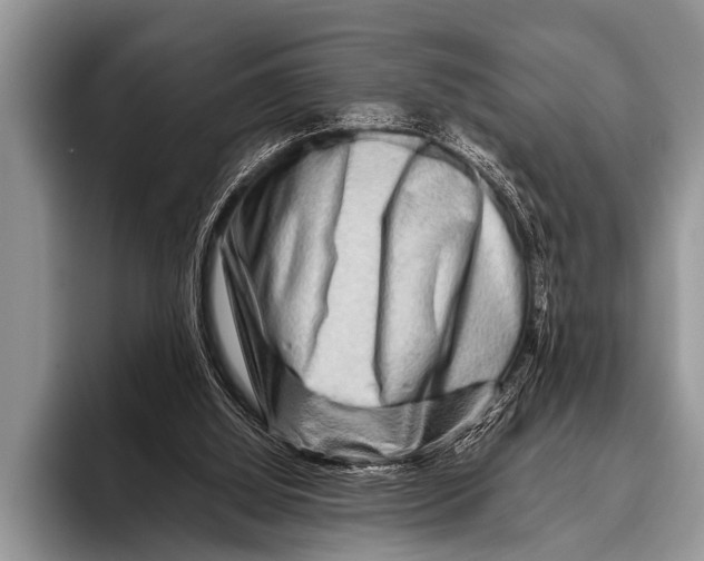 X0000096190060200802081528