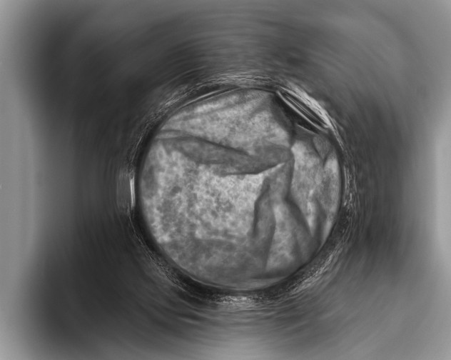 X0000096190061200802081528