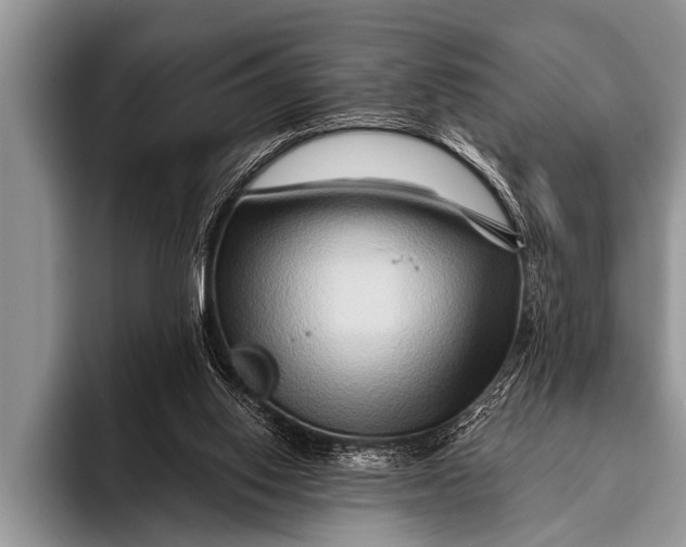 X0000096190062200802081528