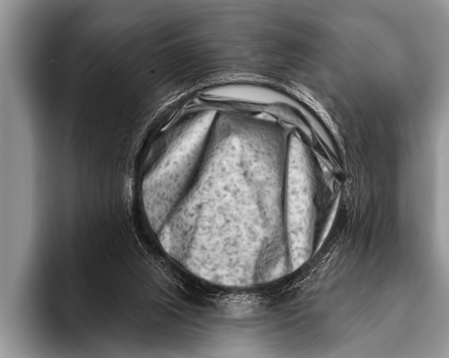 X0000096190063200802081528