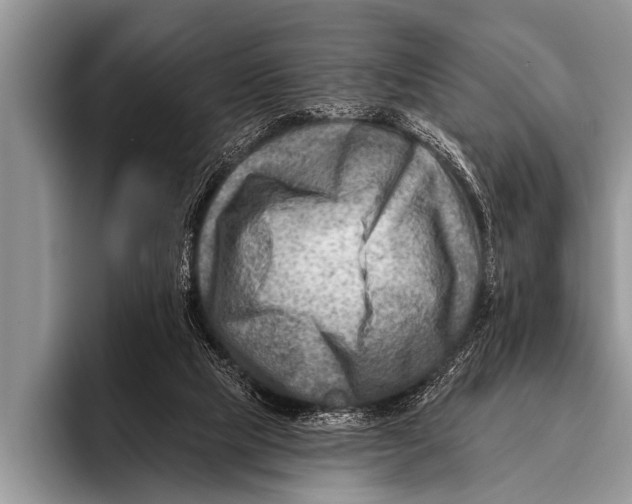 X0000096190065200802081528