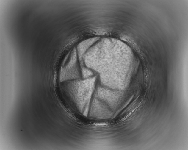 X0000096190066200802081528