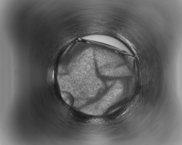 X0000096190067200802081528