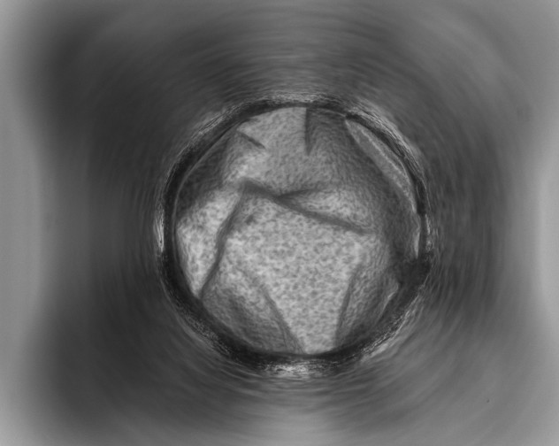 X0000096190068200802081528