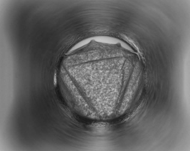 X0000096190069200802081528