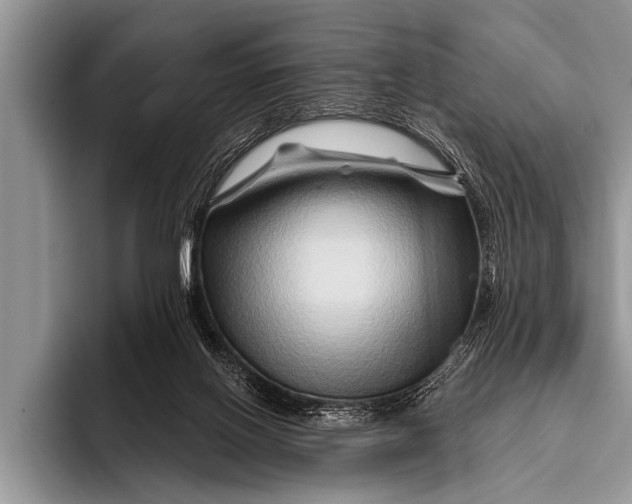 X0000096190070200802081528