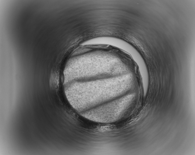 X0000096190072200802081528