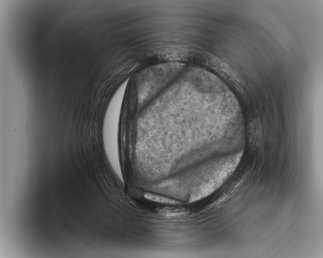 X0000096190073200802081528