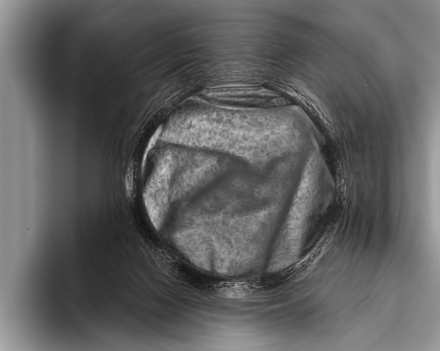 X0000096190074200802081528