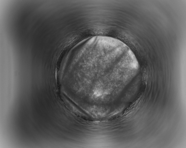 X0000096190076200802081528