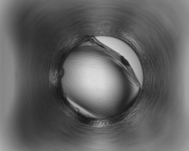 X0000096190077200802081528