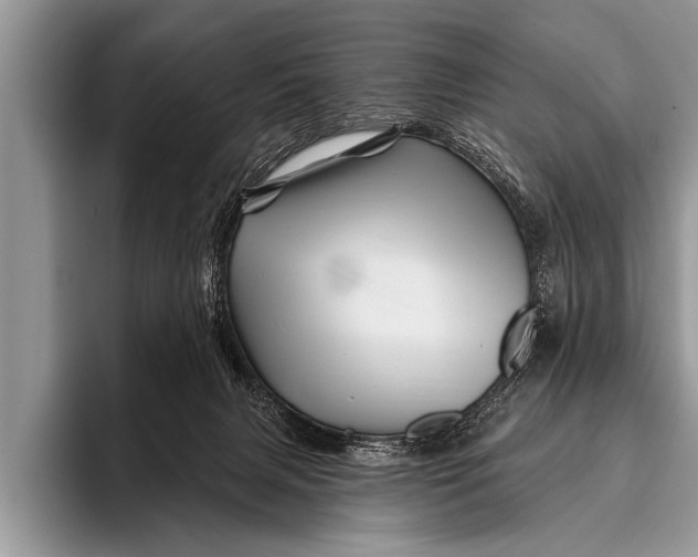 X0000096190079200802081528