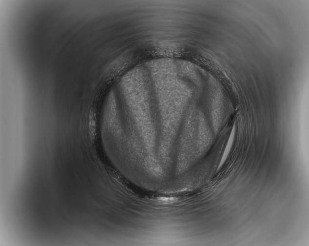 X0000096190080200802081528