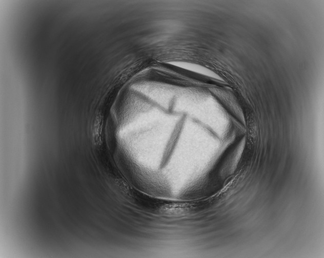 X0000096190082200802081528