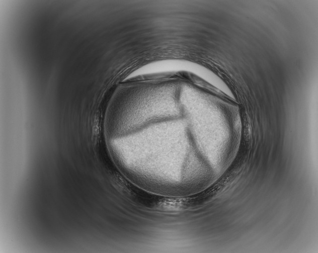 X0000096190084200802081528