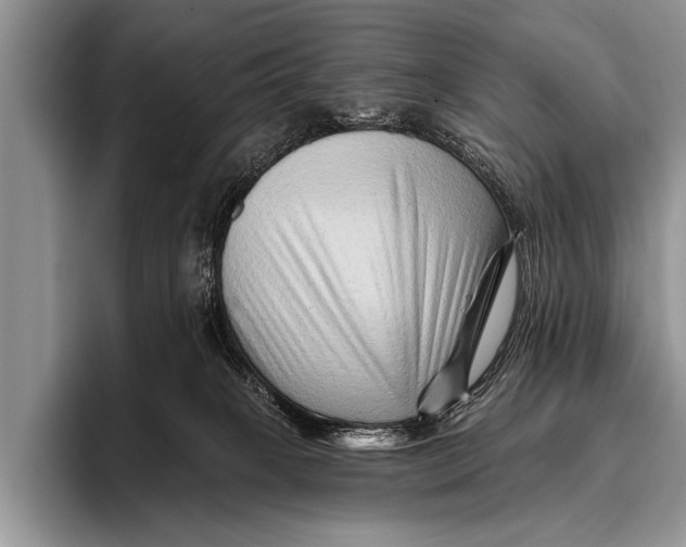 X0000096190085200802081528