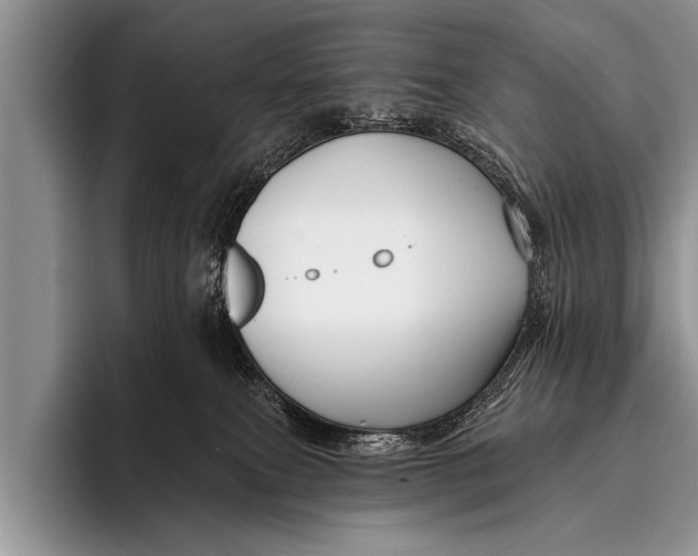 X0000096190087200802081528