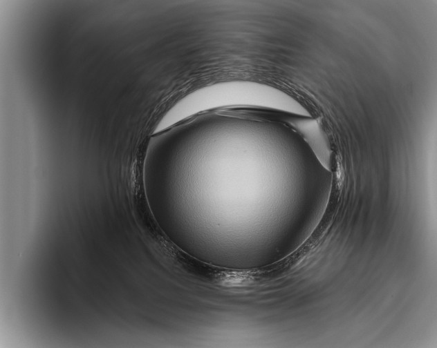 X0000096190088200802081529