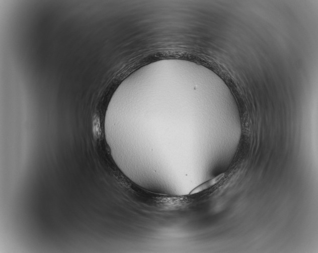 X0000096190089200802081529