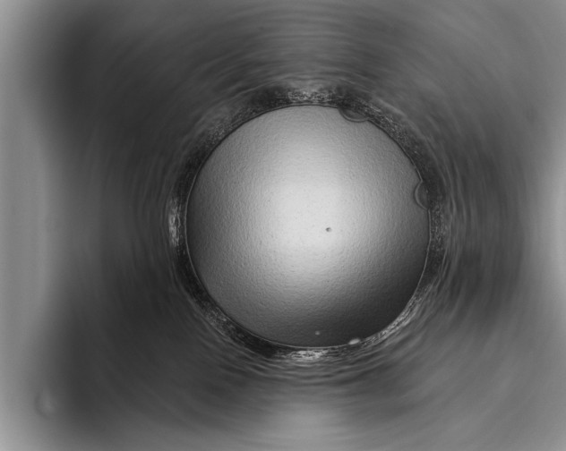 X0000096190090200802081529