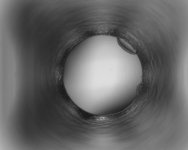 X0000096190091200802081529