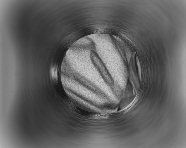 X0000096190094200802081529