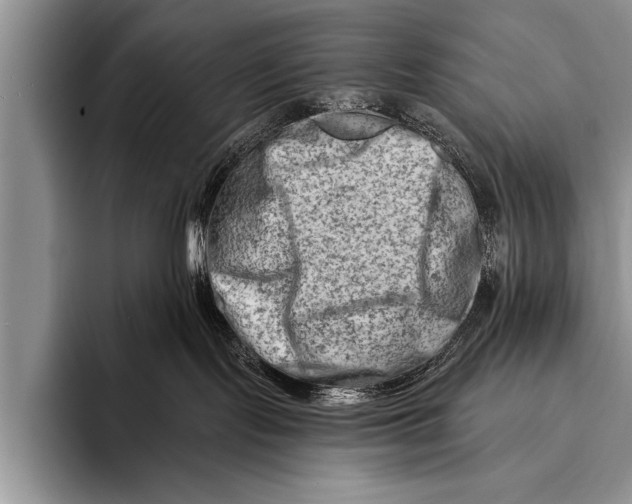 X0000096190095200802081529