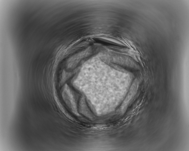 X0000096190097200802081528