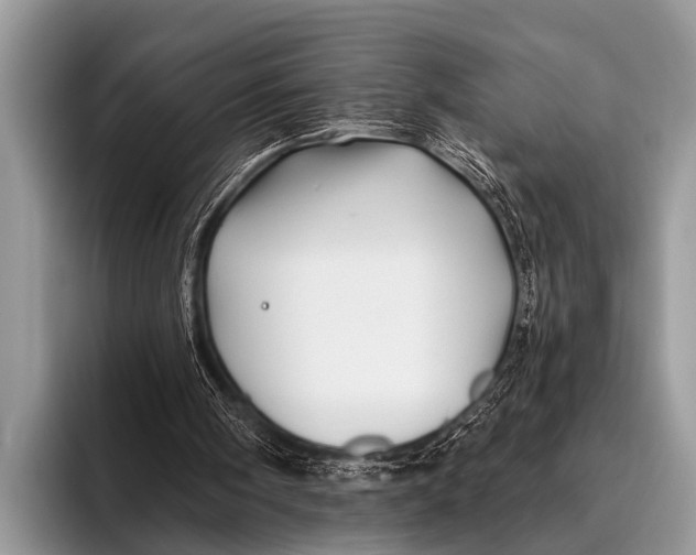 X0000096190098200802081528