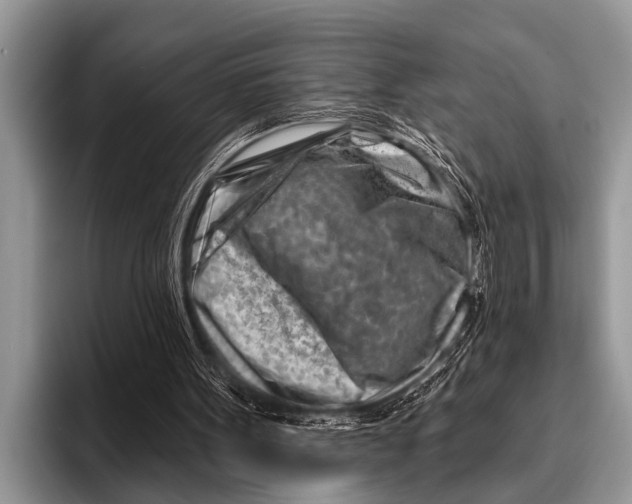 X0000096190099200802081528