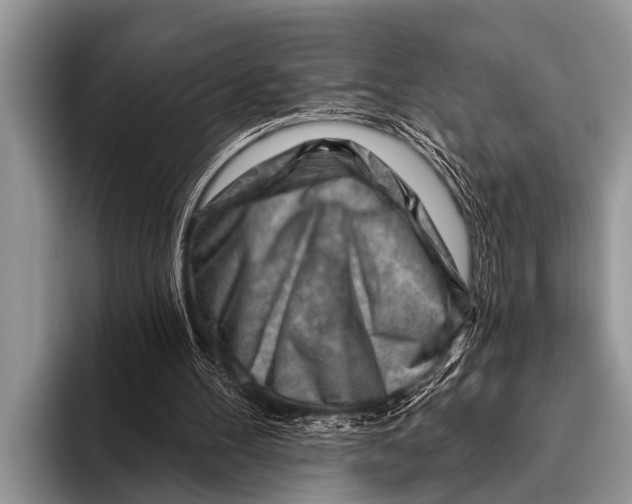 X0000096190100200802081528