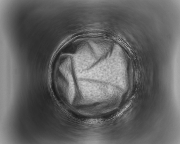 X0000096190101200802081528