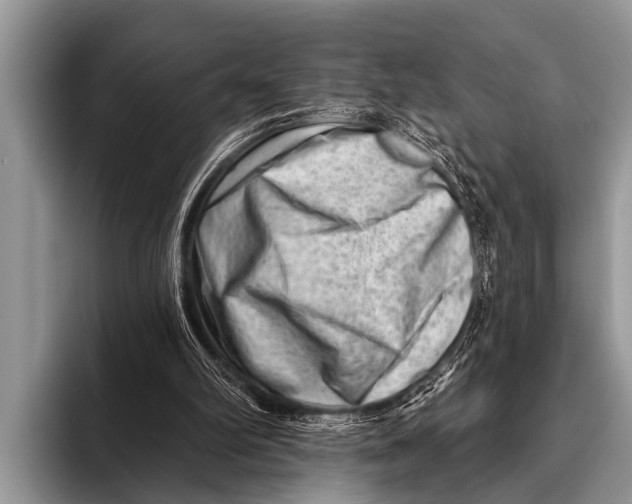 X0000096190102200802081528