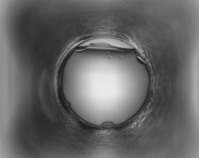 X0000096190103200802081528