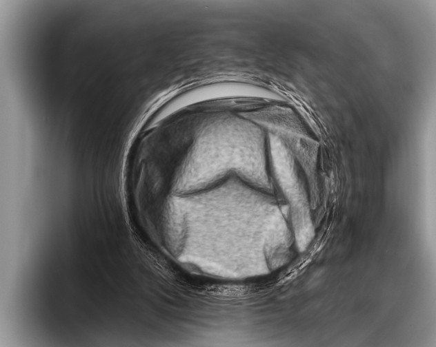 X0000096190104200802081528