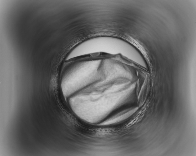 X0000096190105200802081528