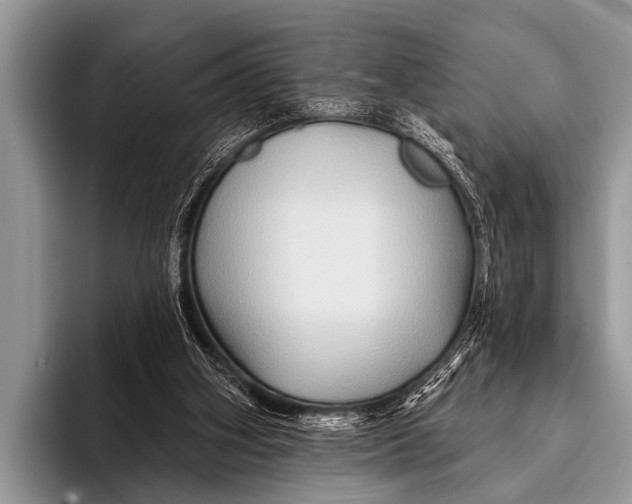 X0000096190106200802081528