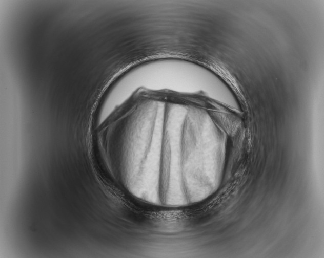 X0000096190108200802081528