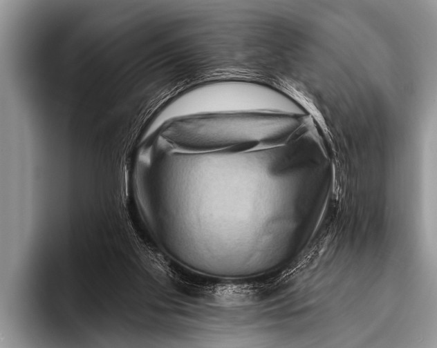 X0000096190109200802081528