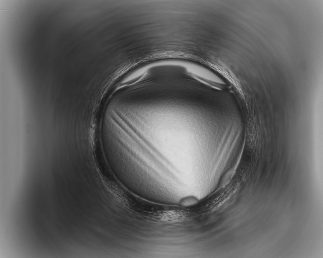 X0000096190111200802081528