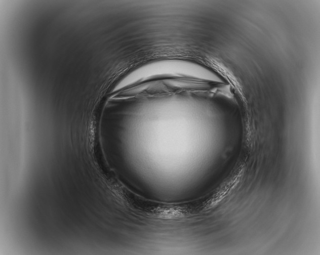 X0000096190113200802081528