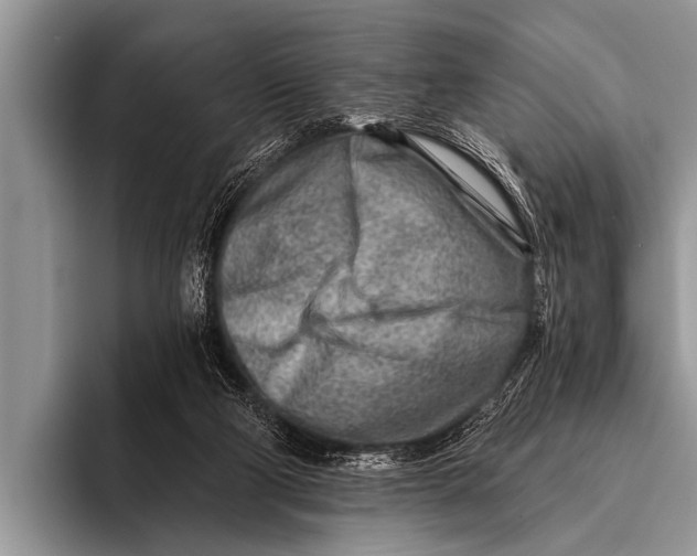 X0000096190114200802081528