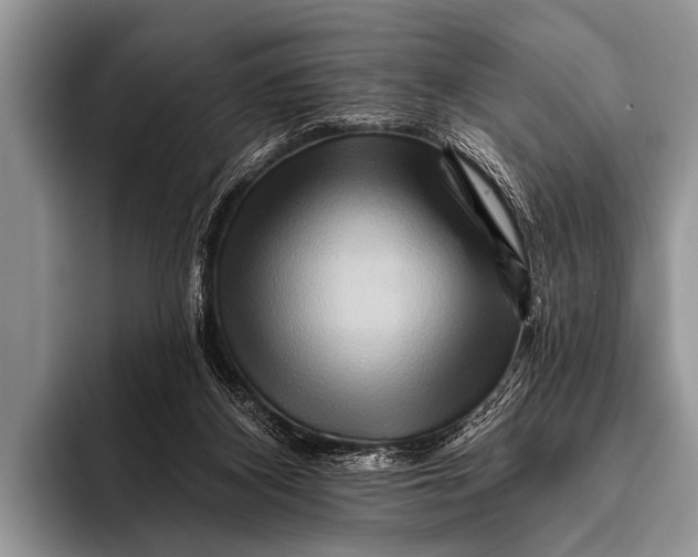 X0000096190116200802081528