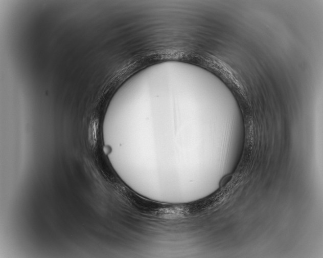 X0000096190118200802081528