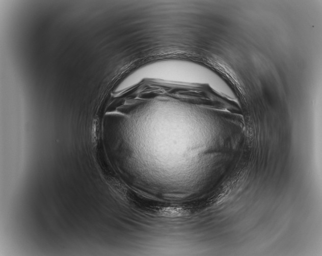 X0000096190119200802081528